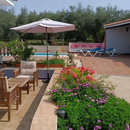 Casa Rural Alejo Málaga Dış mekan fotoğraf
