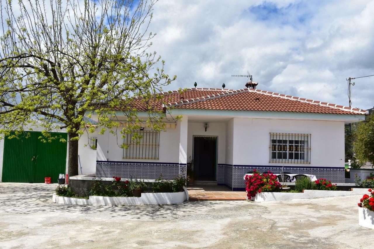 Casa Rural Alejo Málaga Dış mekan fotoğraf