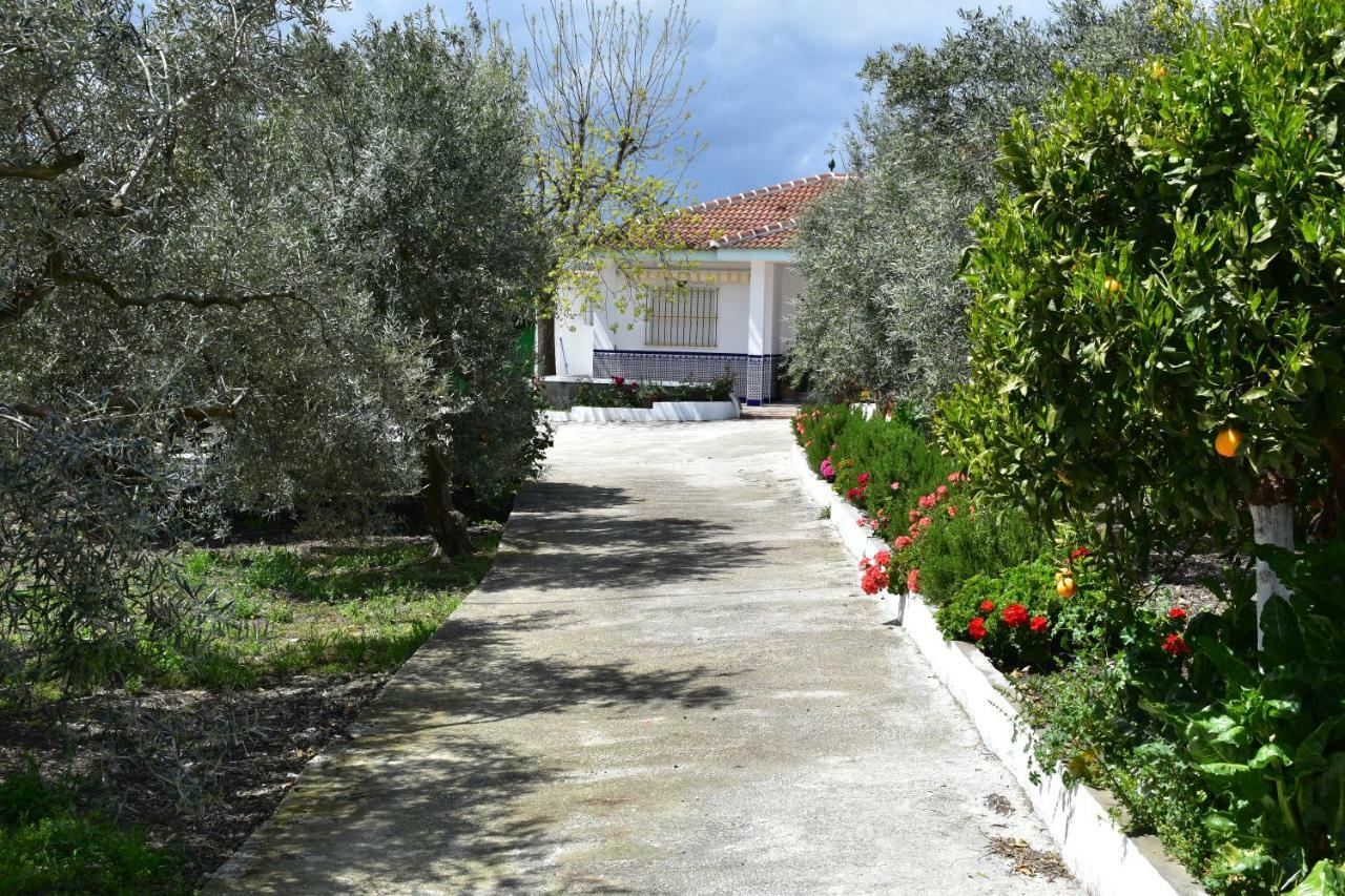 Casa Rural Alejo Málaga Dış mekan fotoğraf